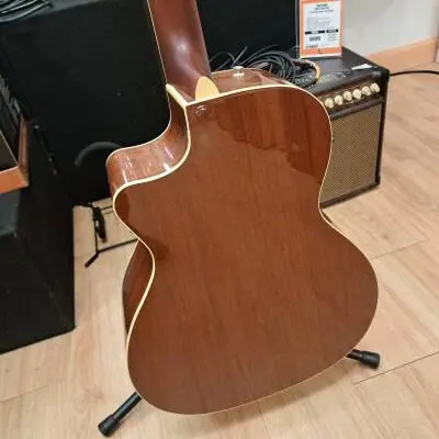 Fender Kingman Bass 2